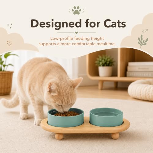 Raised Cat Bowl 5.1” Elevated Ceramic Cat Food and Water Bowl Set (Light Green)