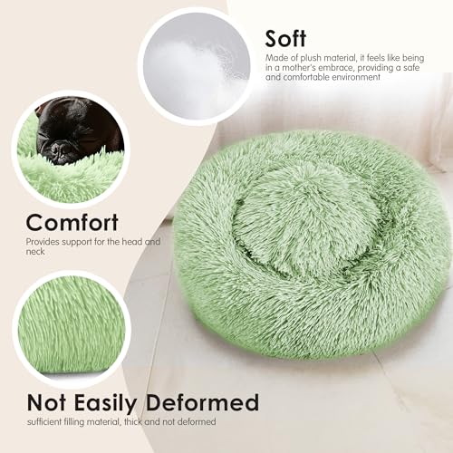 Dog Beds Large Sized Dog and Cats (Green / 32.0"L x 32.0"W x 8.0"Th)