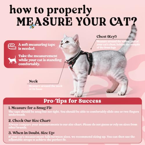 Cat Harness and Leash Set (M / Berry Pounce)
