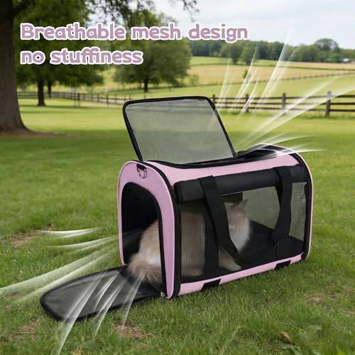 Cat Carrier Backpack (pink)