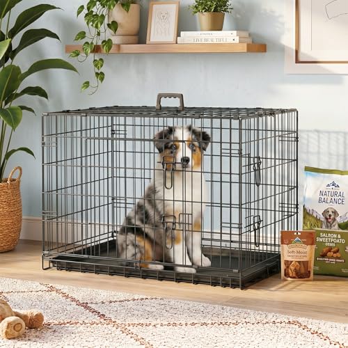 Dog Crate for Medium Dogs 36 Inch Folding Kennel Metal Pet Cage Black (Black / 36.0"L x 22.0"W x 24.0"H)