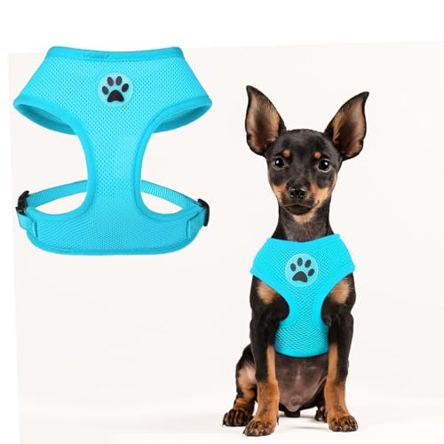 Small Dog Harness (S (NECK: 12", CHEST: 14"-18") / Royal Blue)