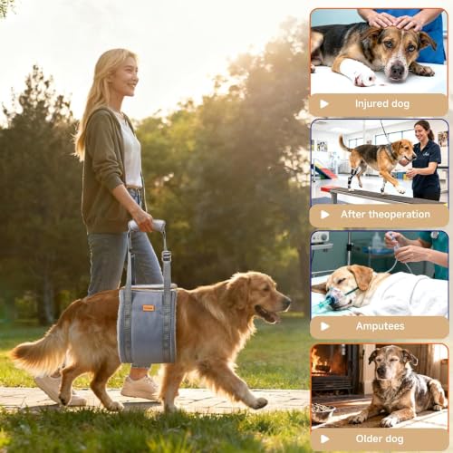 Dog Lift Harness for Large Dogs Adjustable Dog Sling for Back Legs (Grey / X-Large)