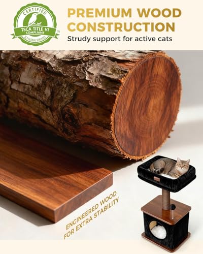 Small Cat Tree for Indoor Kittens (Walnut Finish / Small)