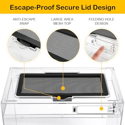 Reptile Tank 7 Piece Starter Kit with Escape Proof Locking Lid Small (Small(12x7x9IN))