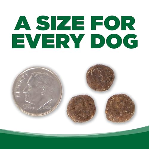 Dry Dog Food Turkey and Rice (4 Pound (Pack of 1))