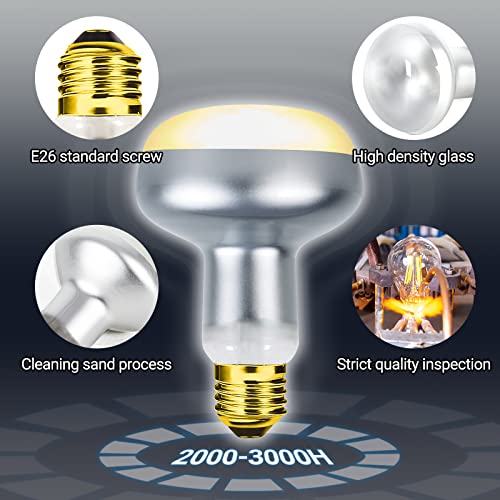 2 Pack Heat Lamp 75W (Natural Basking Light Bulb 75W)