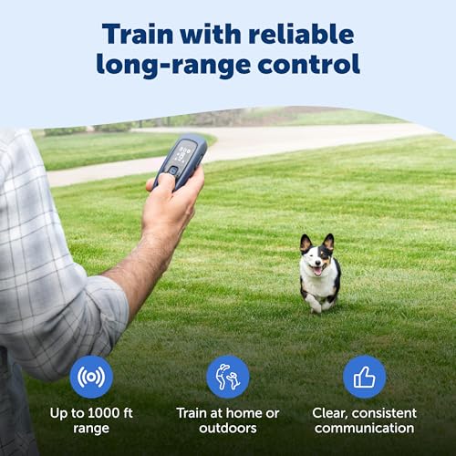 Pro Dog Trainer (2-Dog Trainer)