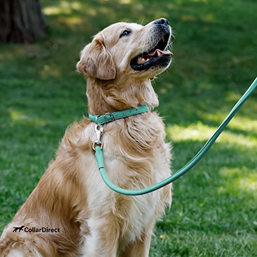 Tangle Free Rolled Leather Dog Collar (Mint Green / S)