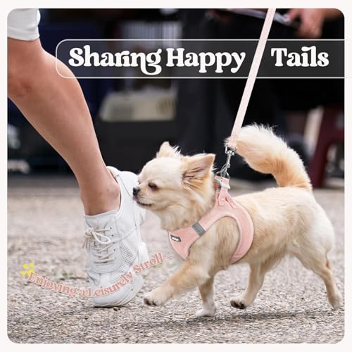 Dog Harness Small Sized and Leash Set (Pink / Xxs (chest: 12.4 - 14.2"))
