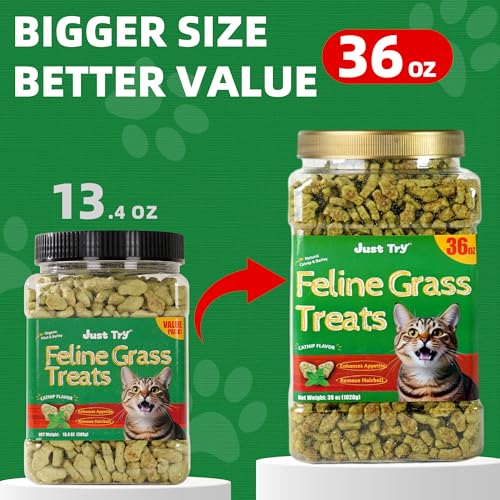 36 OZ Cat Grass Treats for Indoor Cats Hairball Control (2.25 Pound (Pack of 1))