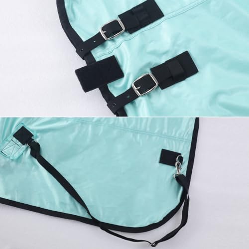 Horse Fly Sheet (Green / 63)