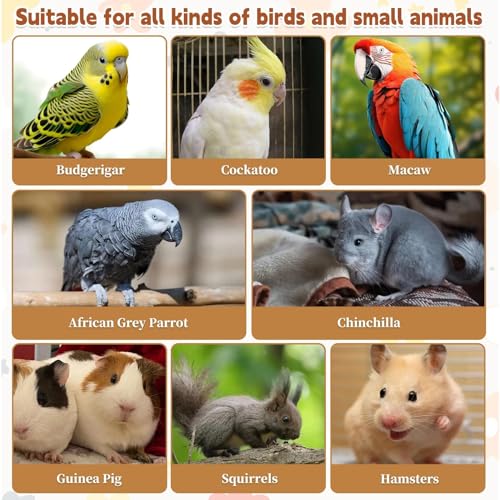 11.8 x 7.8 Inches Large Bird Perch (11.8x7.8in,2PCS)