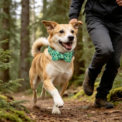 Dog Collar Green Pine Tree Print Dog Collar with Bow (Pine Tree / X-Small (Pack of 1))