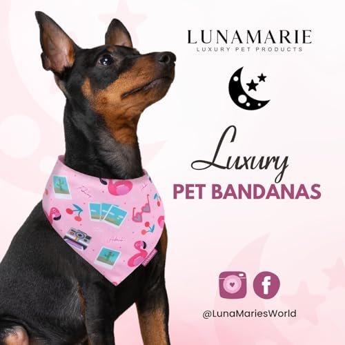 Luxury Pet Birthday Bandanas (Summer Vibes / Large)