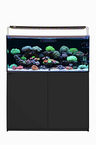 Wooden Aquarium Stand & Cabinet (W35.5xD17.7xH31.5in(90x45x80cm) / Black)