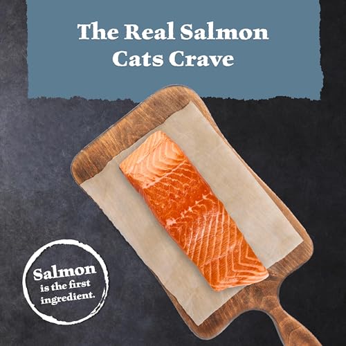 Wilderness Salmon Adult Dry Cat Food (15 Pound (Pack of 1))