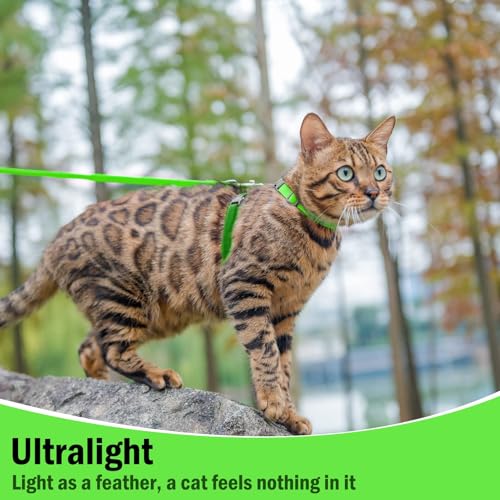 Adjustable Cat Harness and Leash Set Escape Proof Kitten Strap Collar for Walking Travel (Medium / Green)