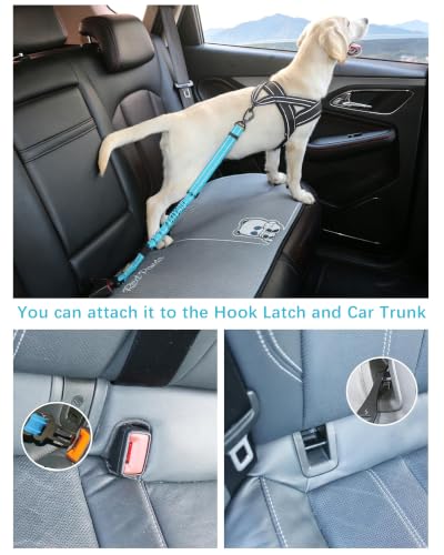 Dog Seat Belt for Car (Set Black+Blue)