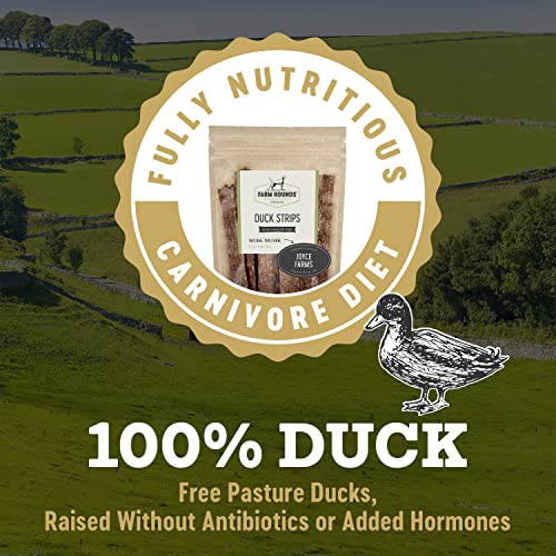 Duck Strips Premium Natural Jerky for Dogs (4.5 Ounce (Pack of 1))