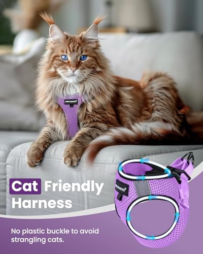 Cat Harness and Leash Set (Modern Violet / L(Chest 12-14"))