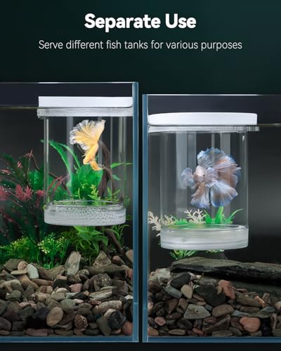 Large Breeder Box for Fish Tank (Large)