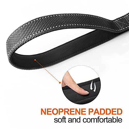 4FT 1IN Heavy Duty Dog Leash for Large Dogs with 2 Padded Handles (Black / 1 in x 4 ft)