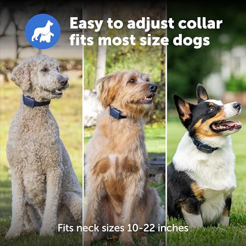 Basic Dog Trainer with Remote (Basic Trainer)