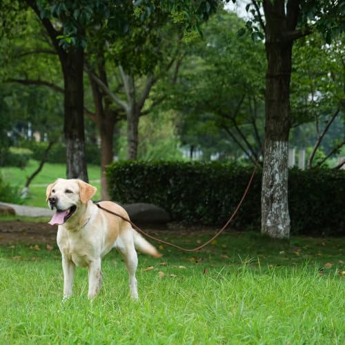 Long Dog Leash (Yellow / 30FT*0.4" Single Handle)