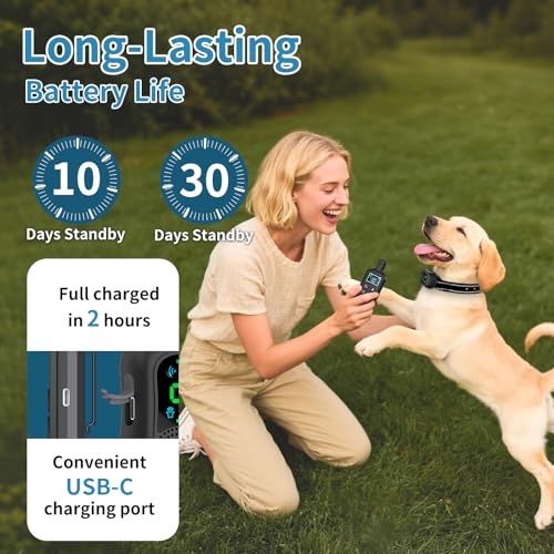 Dog Shock Collar (008 Black)