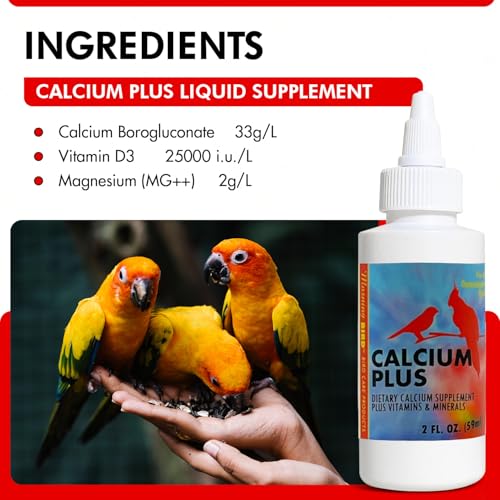 Calcium Plus Liquid 2 Fl Oz (2 Fl Oz)