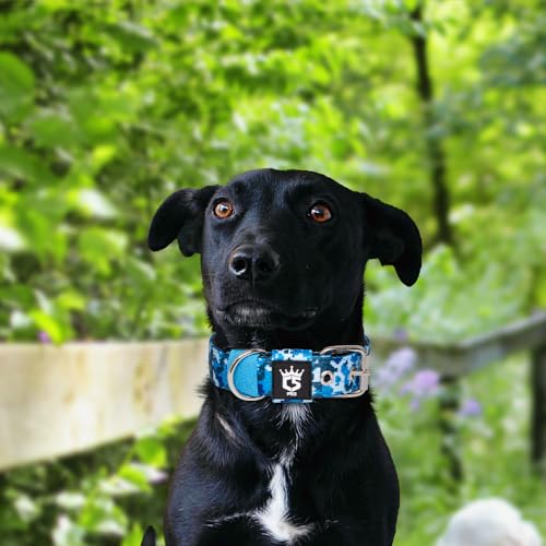 Heavy Duty Thick Dog Collar with Metal Buckle for Small Dogs (S – Fits Neck 12.6"-15.8" / Camo Blue)