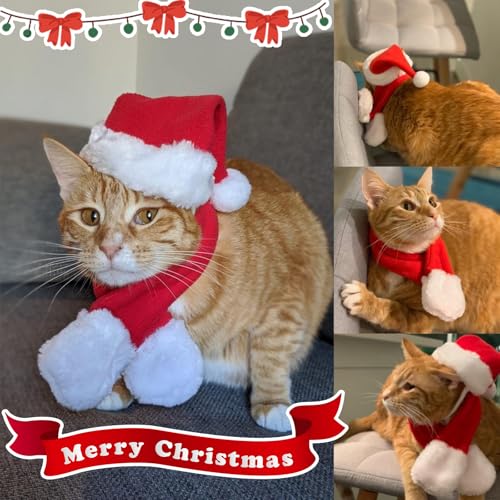 Cat Christmas Costume (Xmas Costume)