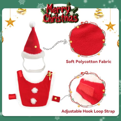 Cat Christmas Costume (Christmas Costume)