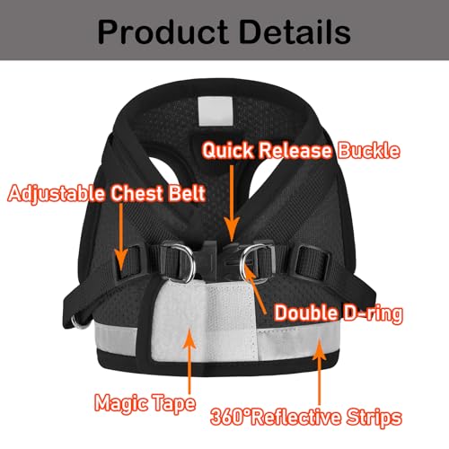 Cat Harness and Leash Set (S (Chest: 9" - 11") / Black)