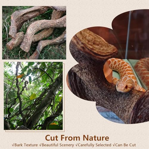 2Pcs Reptile Climbing Branches Decor (2PCS|XL:2.50-3.25"D,13"L)