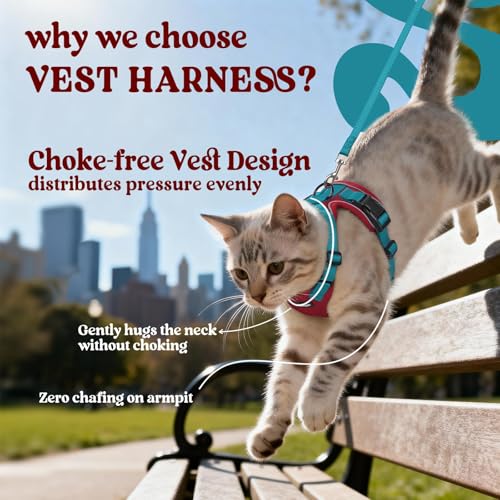Cat Harness and Leash Set (Xs / Red & Teal)