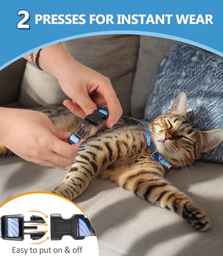 Cat Harness and Leash Set (Hawaii Blue / Small (4-10 lb))