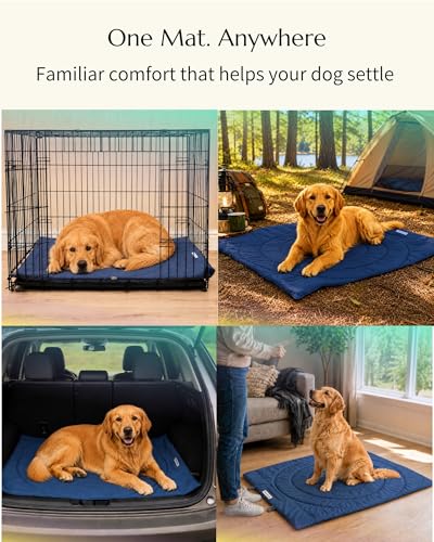 Dog Travel Mat (Blue)