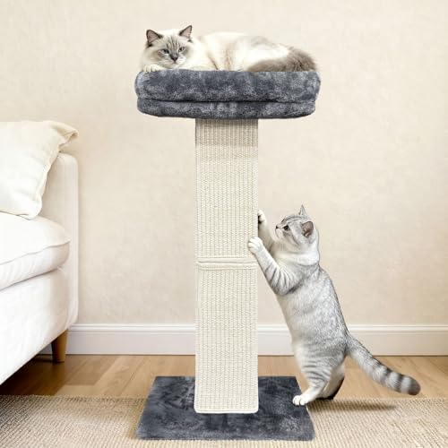 Cat Scratching Post with Plush Perch for Indoor Cats (Grey)
