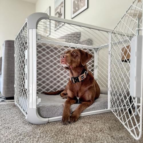 Evolv Modular Dog Crate for Dogs 18 (Intermediate (38.1"L x 24.9"W x 25.6"H) / Ash)