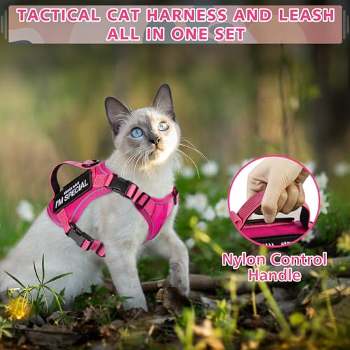 Tactical Cat Harness and Leash (Large / Pink)