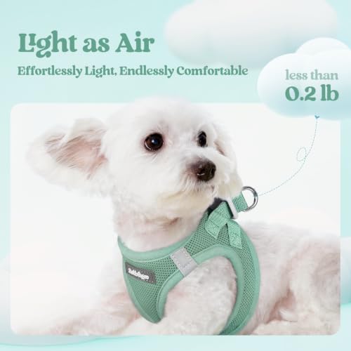 Dog Harness Small Sized and Leash Set (Moss Green / Xxs (chest: 12.4 - 14.2"))