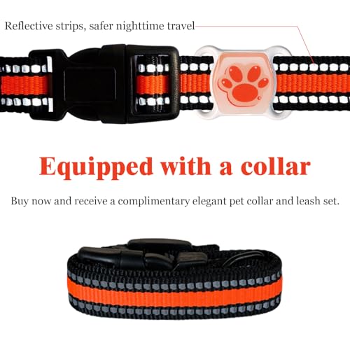 Pet GPS Tracker for Dogs & Cats