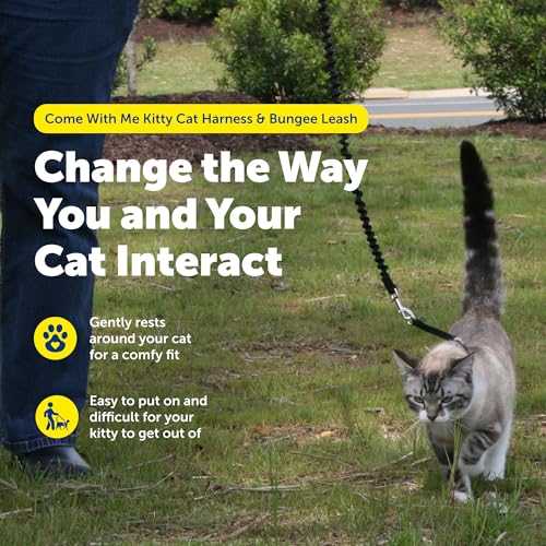 Come with Me Kitty Harness and Bungee Cat Leash (Medium (Pack of 1) / Dusty Rose)