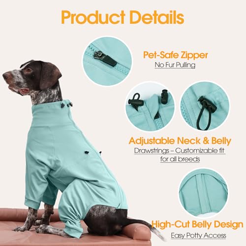 Adjustable Recovery Suit for Small Dogs (Green / S)