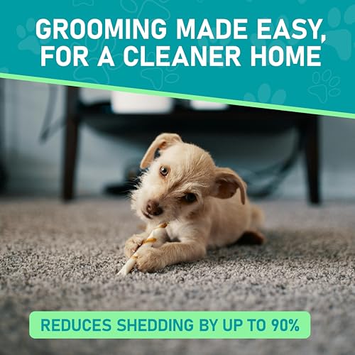 Pet Grooming Brush (Purple / L)
