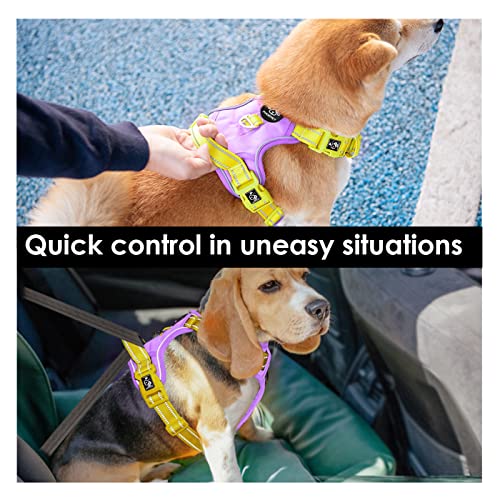No Pull Dog Harness (Baby Purple Base & Yellow Straps / Extra Large)