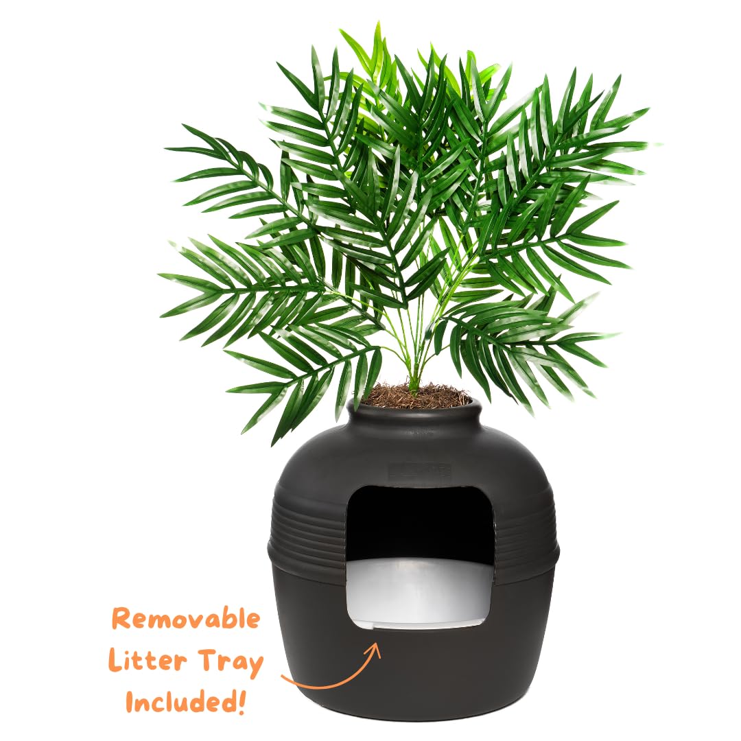 Original Hidden Litter Box Planter (Palm Plant / Essentials Kit / Charcoal Black)