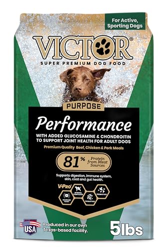 Performance Dry Dog Food (5 Pound (Pack of 1))